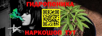 бошки Сланцы