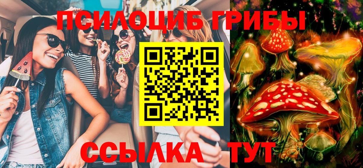 Псилоцибиновые грибы прущие грибы Нижневартовск